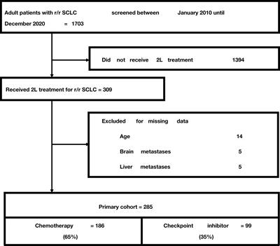 Survival benefit with checkpoint inhibitors versus chemotherapy is modified by brain metastases in patients with recurrent small cell lung cancer